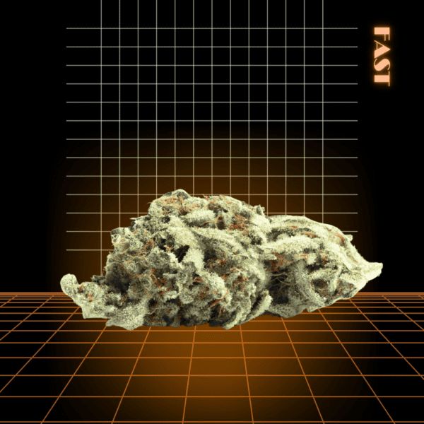 High Quality Feminized Hybrid Fast flowering Lavender Fast Version Cannabis Seeds Close Up