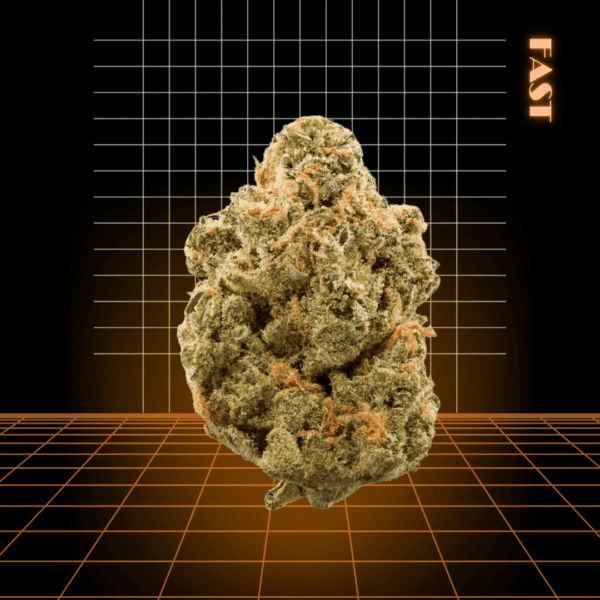 High Quality Feminized Hybrid Fast flowering Pineapple Kush Fast Version Cannabis Seeds Close Up
