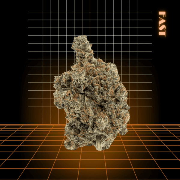 High Quality Feminized Hybrid Fast flowering Purple Trainwreck Fast Version Cannabis Seeds Close Up