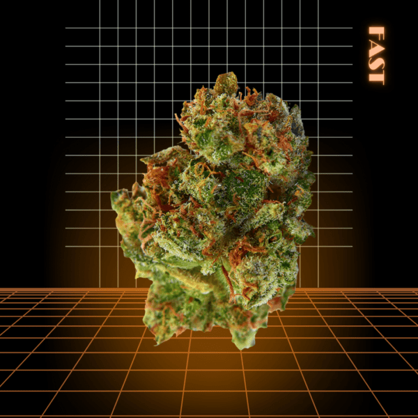 High Quality Feminized Hybrid Fast flowering White Fire OG Fast Version Cannabis Seeds Close Up
