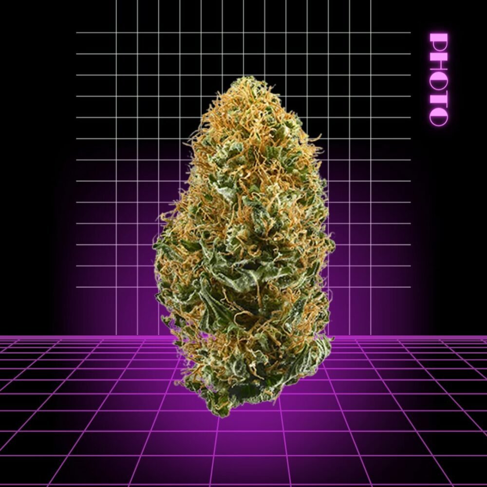 High Quality Feminized Hybrid Photoperiod White Widow Cannabis Seeds Close Up