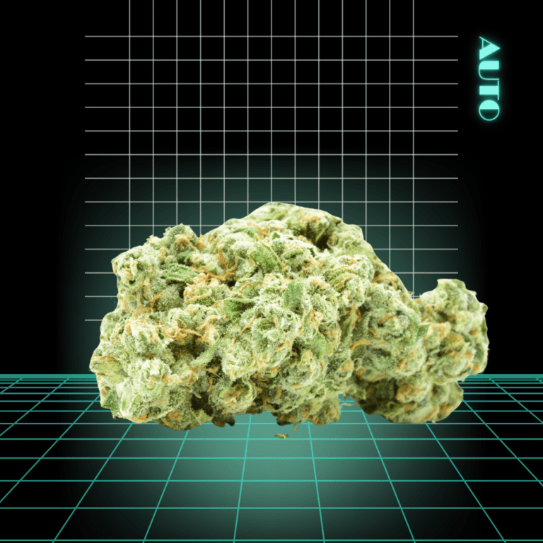 High Quality Feminized Indica Autoflowering White Widow x Big Bud Auto Cannabis Seeds Close Up