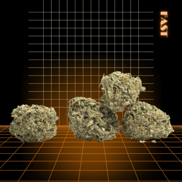 High Quality Feminized Indica Fast flowering God s Gift Fast Version Cannabis Seeds Close Up 1
