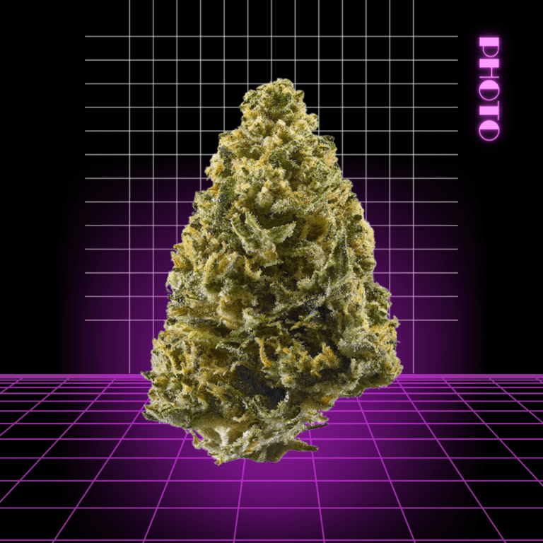 High Quality Feminized Indica Photoperiod Northern Lights Cannabis Seeds Close Up