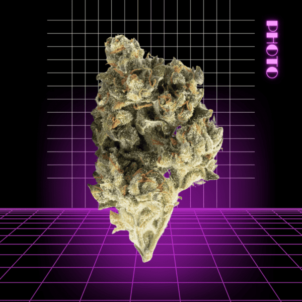 High Quality Feminized Indica Photoperiod Skywalker OG Cannabis Seeds Close Up