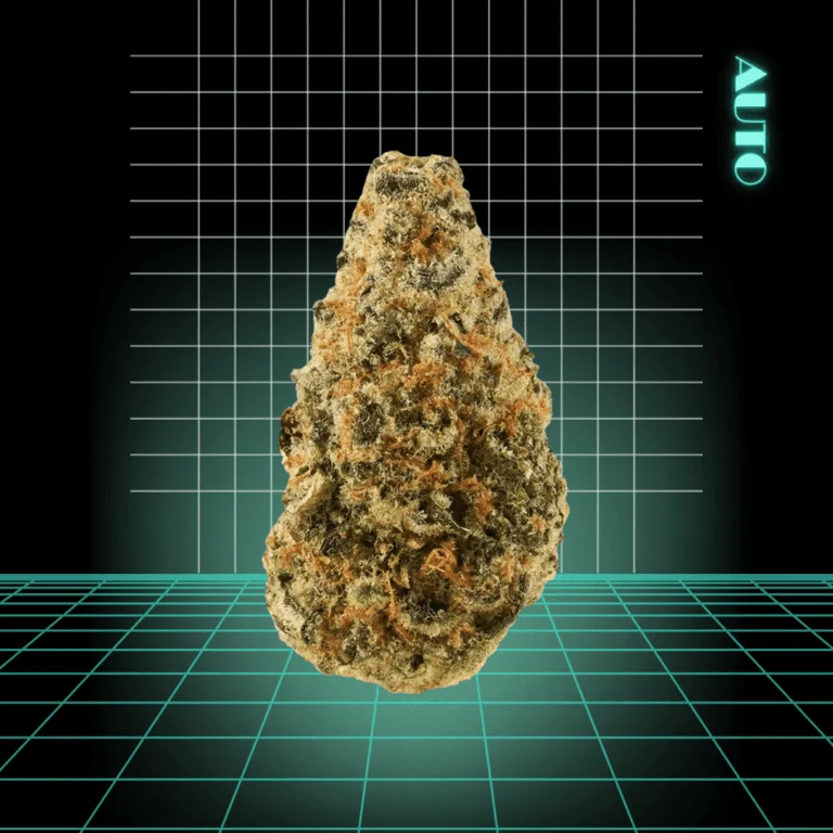 High Quality Feminized Sativa Autoflowering Candy Cane Auto Cannabis Seeds Close Up